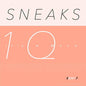 The Sneaks- It's A Myth