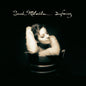 Sarah McLachlan- Surfacing