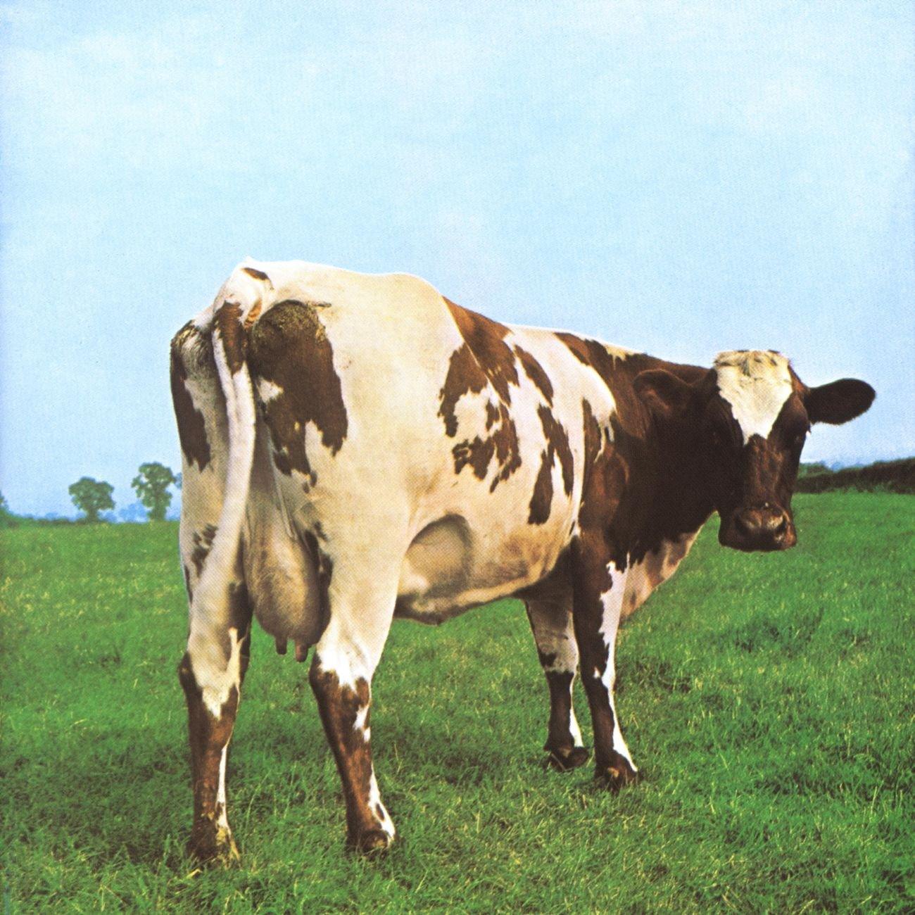 Pink Floyd- Atom Heart Mother