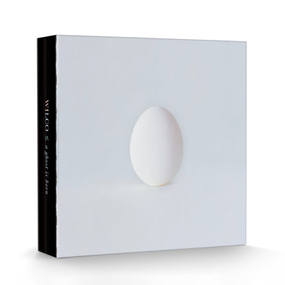 Wilco- A Ghost Is Born (Deluxe Edition)